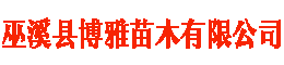 重庆月季、重庆树状月季、巫溪县博雅苗木有限公司【官网】